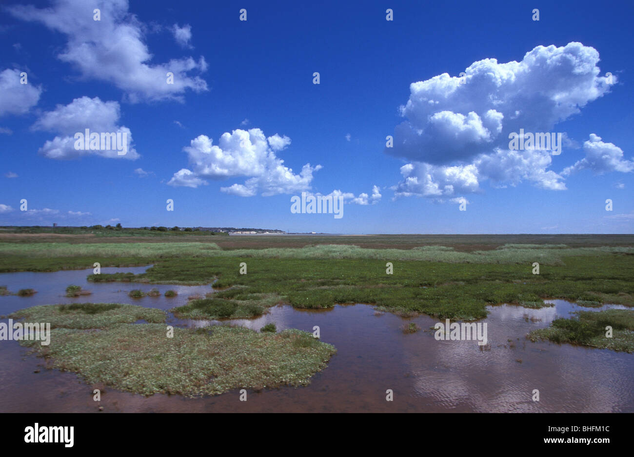 Acqua salmastra stagno a Pegwell e Sandwich Bay Riserva Naturale Nazionale Kent Foto Stock