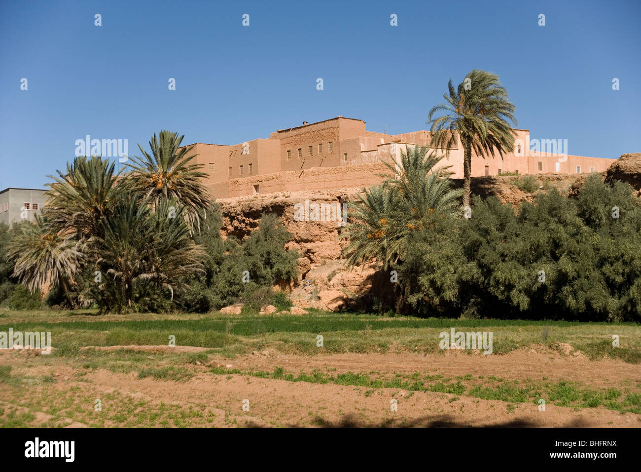 Palmeraie la superficie irrigata di Tinerhir una piccola città in Alto Atlante Mountain Range, Marocco Foto Stock
