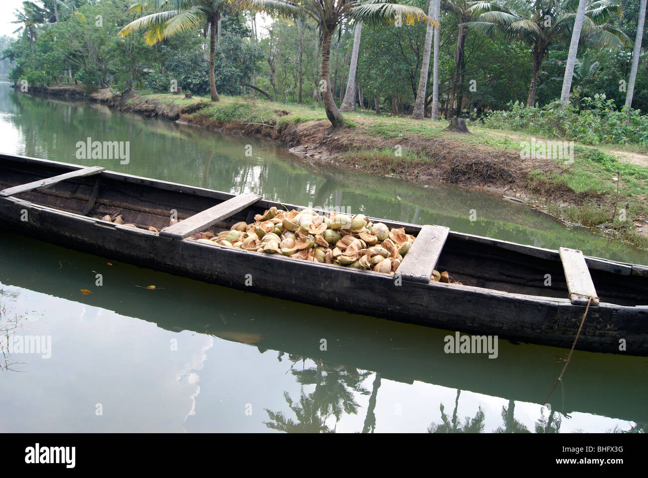Il Kerala canoa merci barca con gusci di noce di cocco per la produzione di filati di cocco Foto Stock