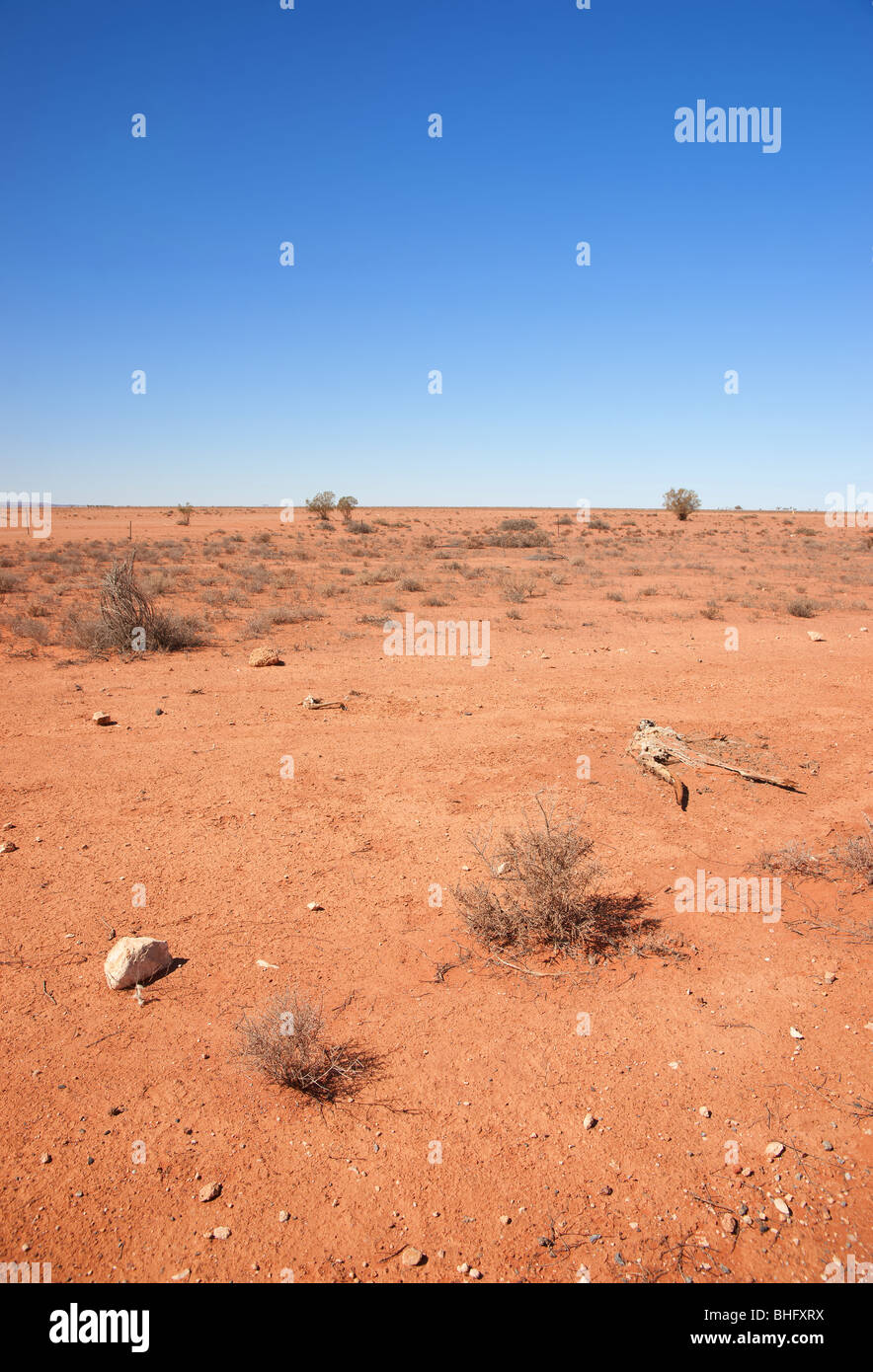 Deserto Australiano di Broken Hill Foto Stock
