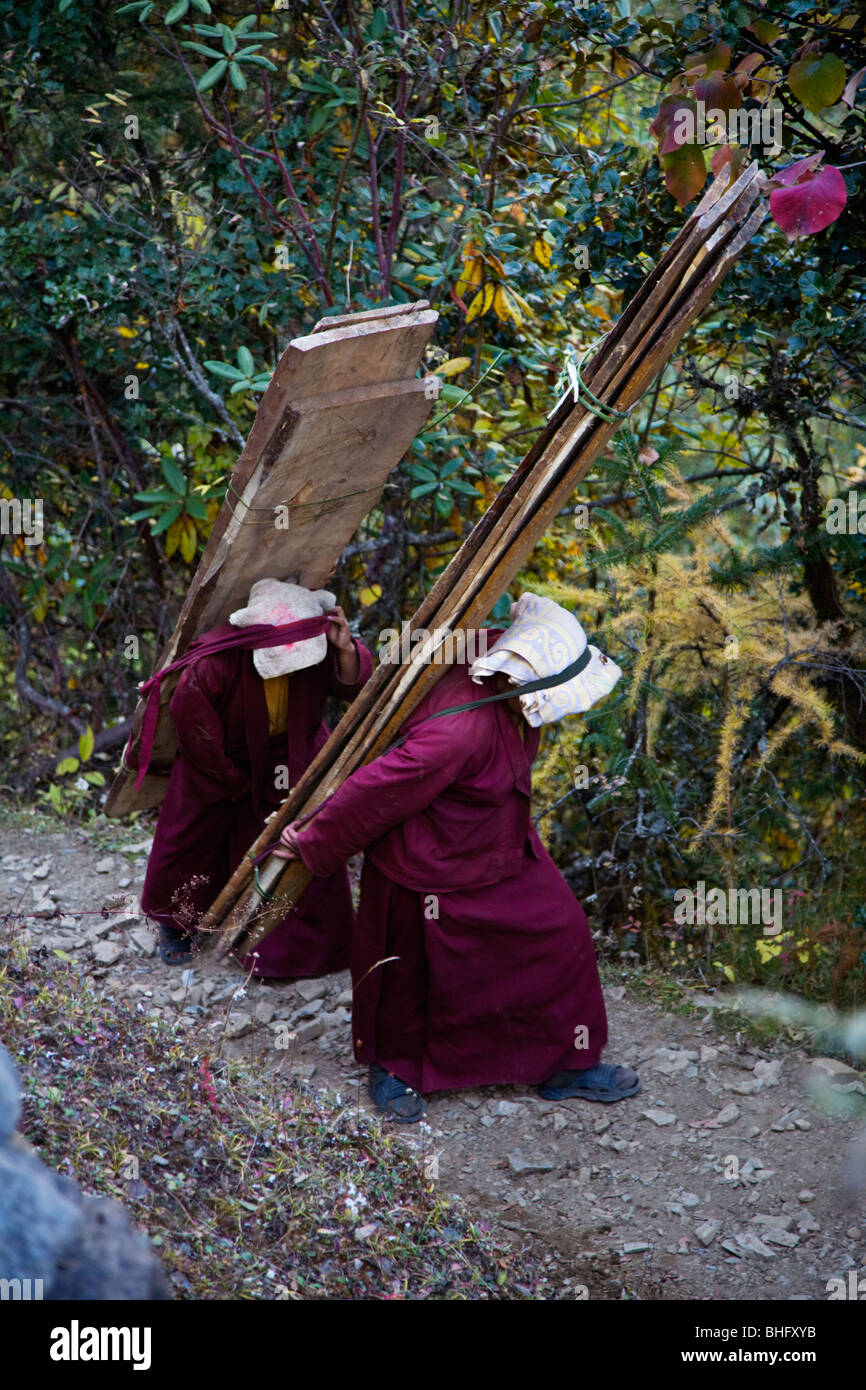 Buddista Tibetana monache portano listoni in legno fino a un ripido sentiero nella zona NUPRI - intorno il MANASLU TREK, NEPAL Foto Stock