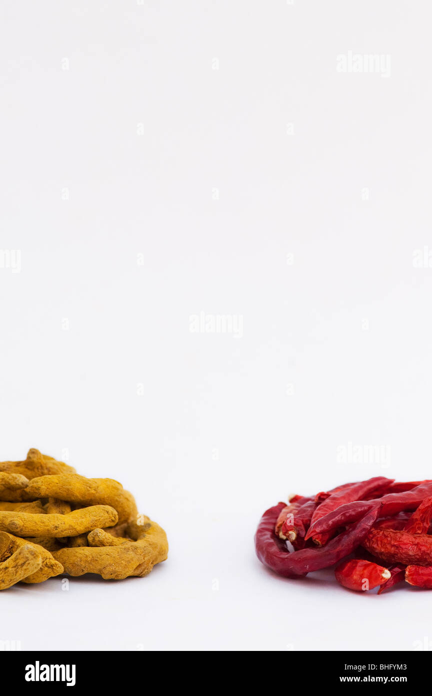 Essiccata la curcuma rizomi e essiccato peperoncino rosso su sfondo bianco Foto Stock