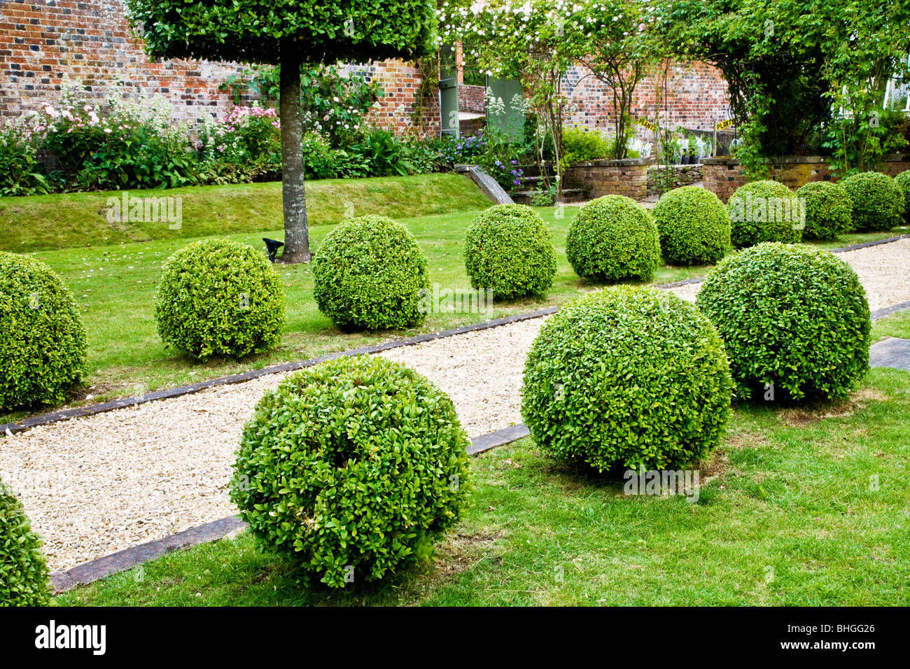 Topiaria da lungo un sentiero di ghiaia in il giardino murato di un paese di lingua inglese manor Foto Stock