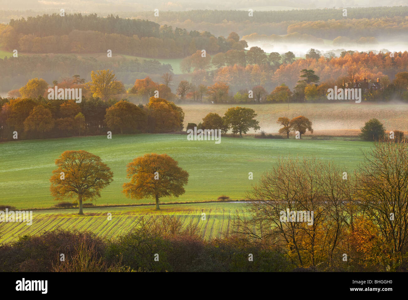 La mattina presto viste attraverso la collina da Newlands Corner guardando verso Albury Surrey Foto Stock