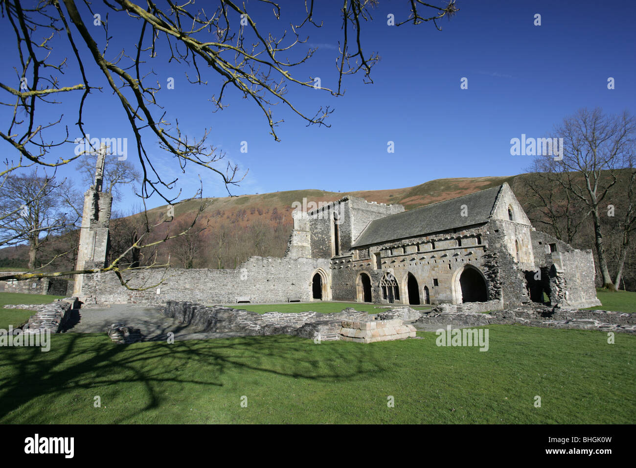 Il rovinato rimane del CADW managed Valle Crucis Abbey a Llantysilio vicino a Llangollen. Foto Stock