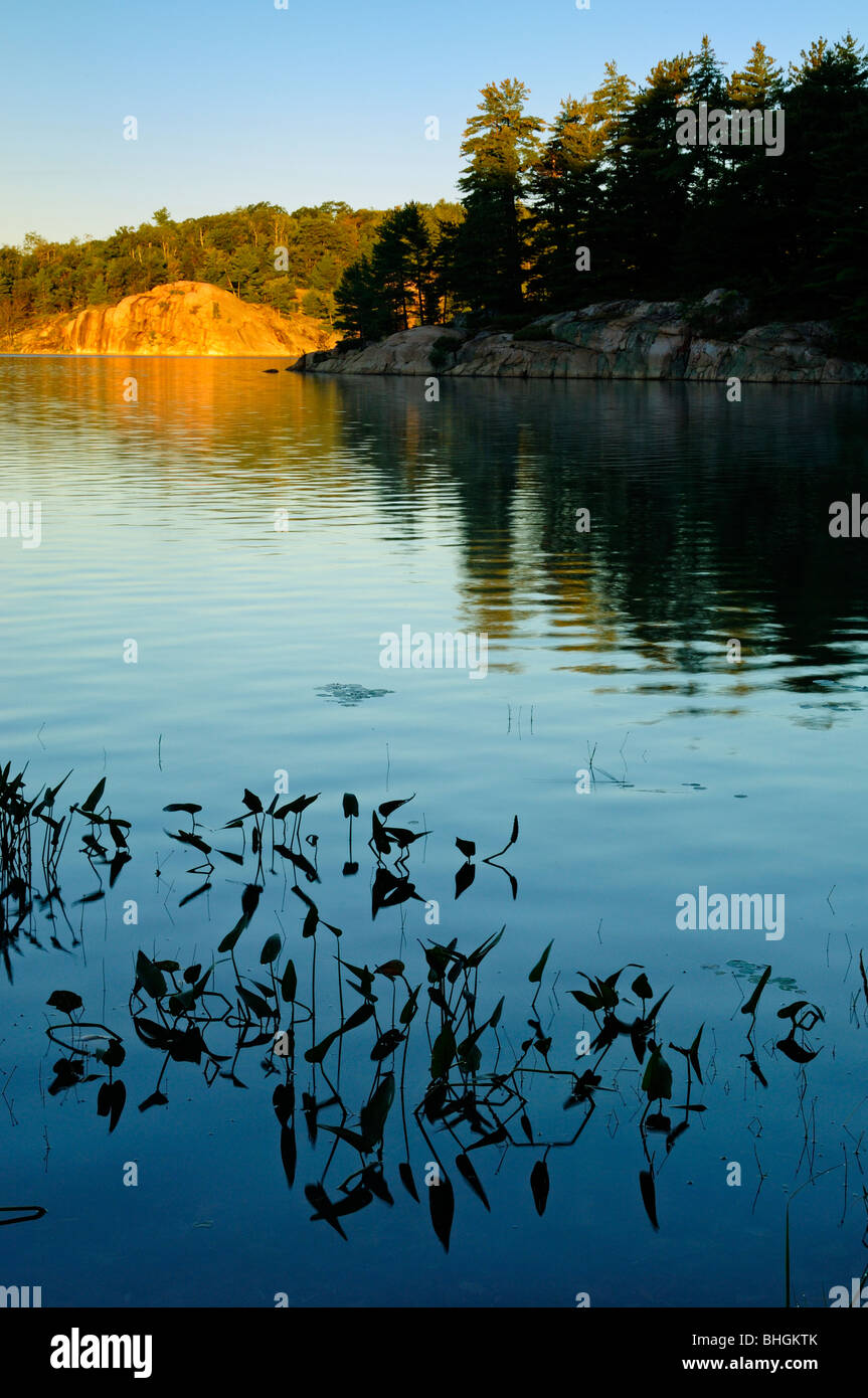 George lago con la luce del mattino e pickerel colonia di erbaccia, Killarney Provincial Park, Ontario, Canada Foto Stock