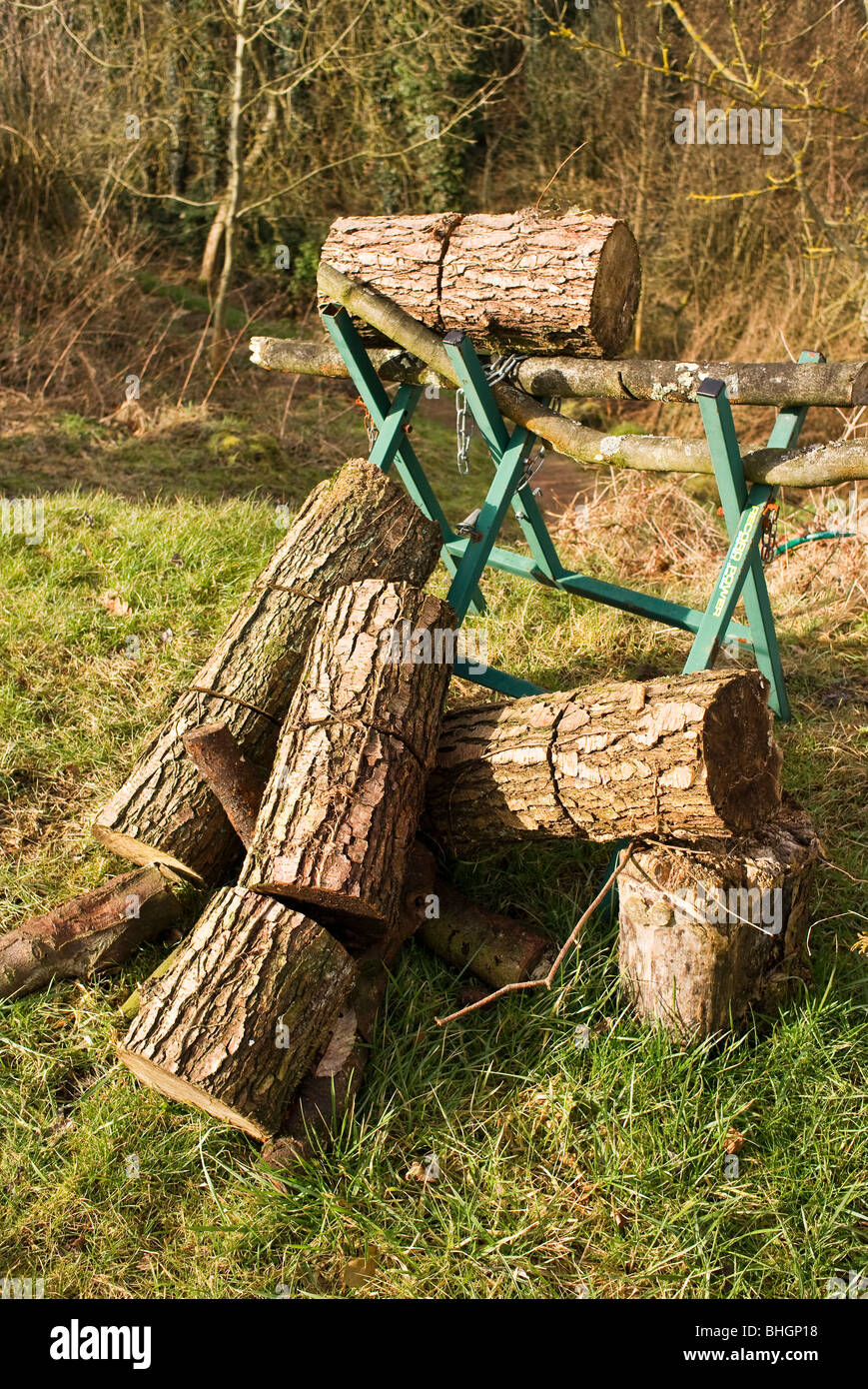 Legno segato log dopo il taglio su un traliccio Foto Stock