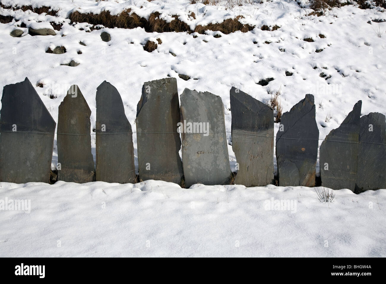 Una sezione di un nuovo recinto di ardesia costruita quando la Crimea passare subito il lavoro che si è concluso nel 2008. Foto Stock
