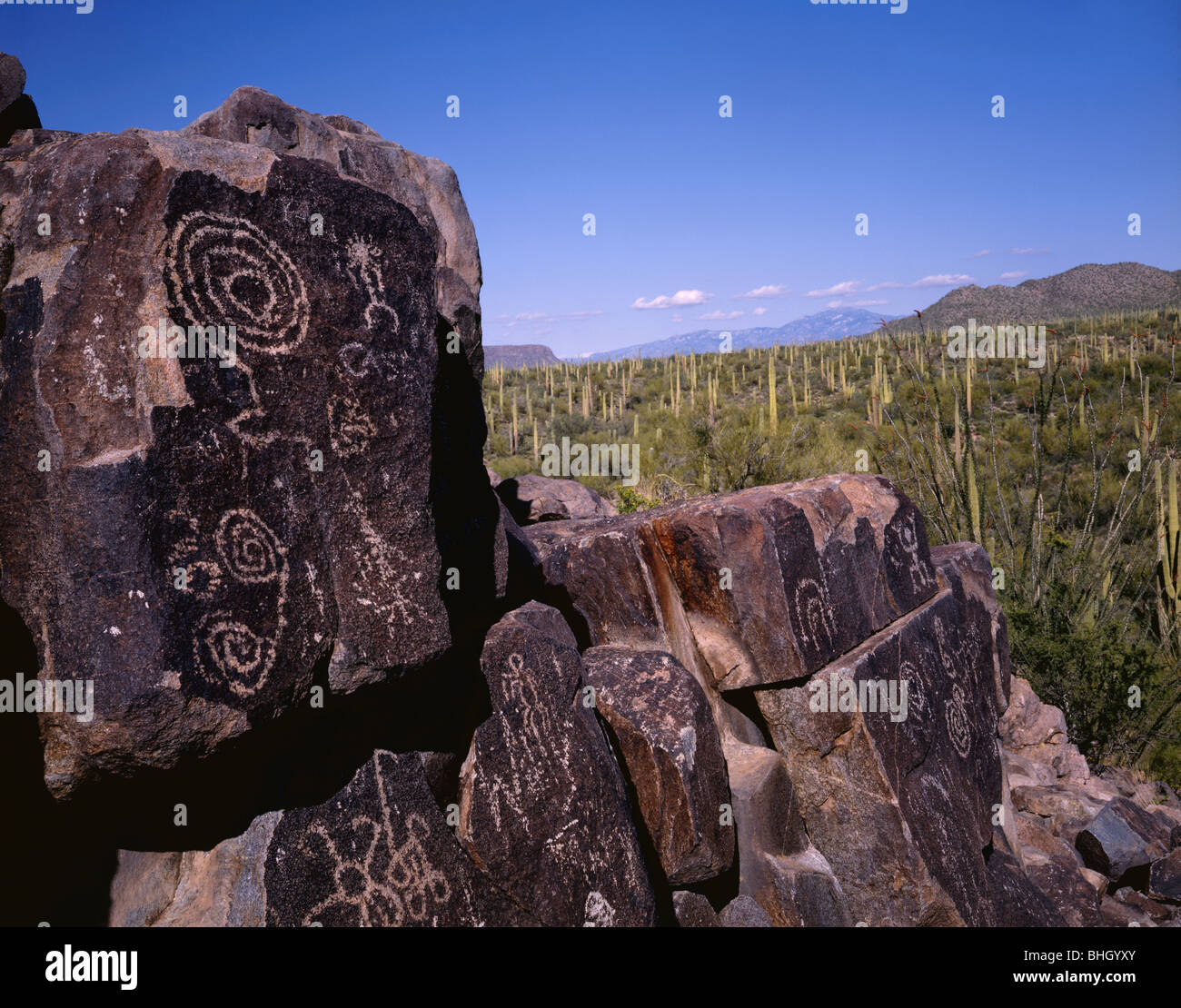 ARIZONA - Antica Native American pittogrammi al segnale collina nel Parco nazionale del Saguaro. Foto Stock