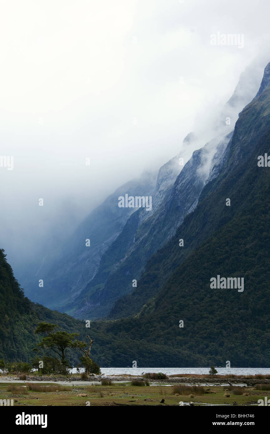 Il Milford Sound, Fiordlands National Park, Isola del Sud della Nuova Zelanda Foto Stock