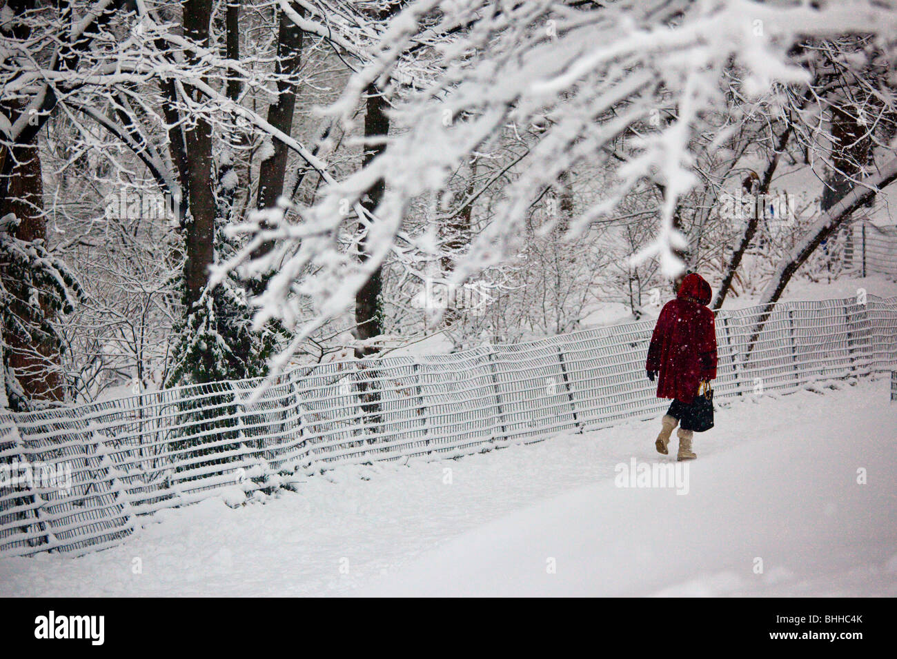 La donna a piedi nella neve a Central Park di New York City Foto Stock