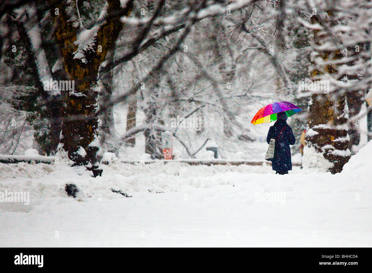 La donna a piedi nella neve a Central Park di New York City Foto Stock