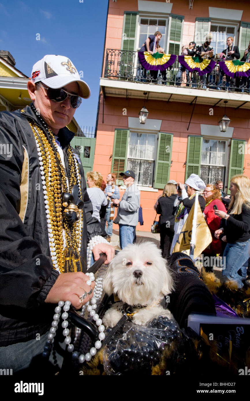 Krewe di Barkus, cane parade, Mardi Gras, quartiere francese, New Orleans, Louisiana Foto Stock