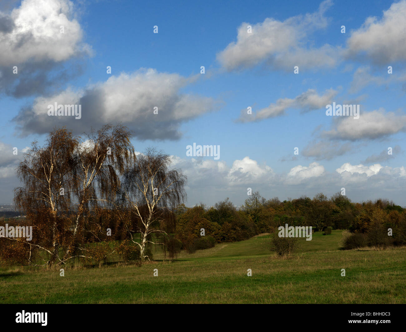 Epsom Downs Surrey in Inghilterra Foto Stock