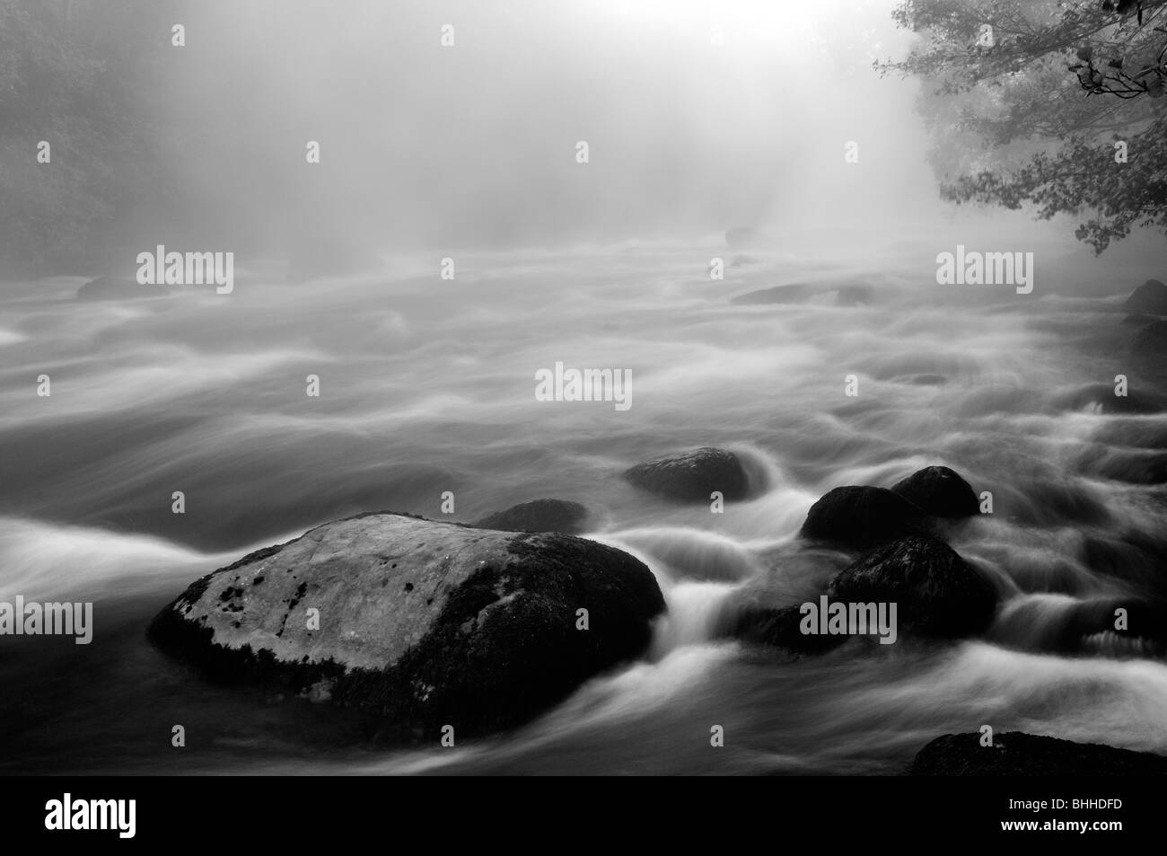 Un piccolo fiume nella riserva naturale, Vastergotland, Svezia. Foto Stock