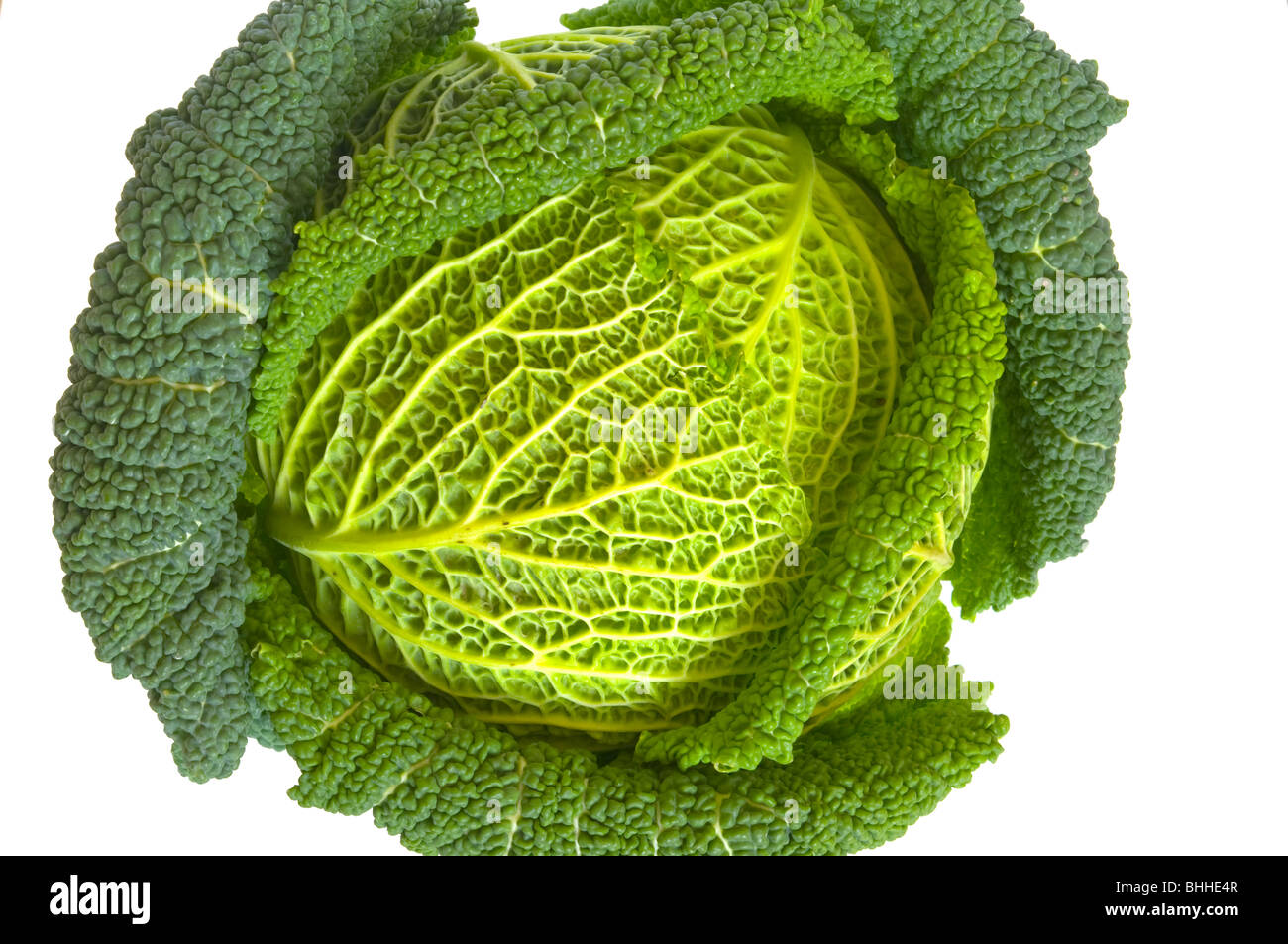 Cavolo verza isolata contro uno sfondo bianco Foto Stock