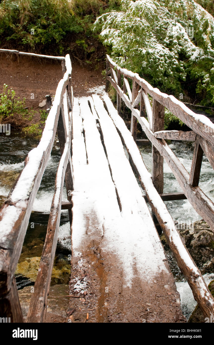 Cile Huerquehue Parco Nazionale vicino a Pucon Foto Stock