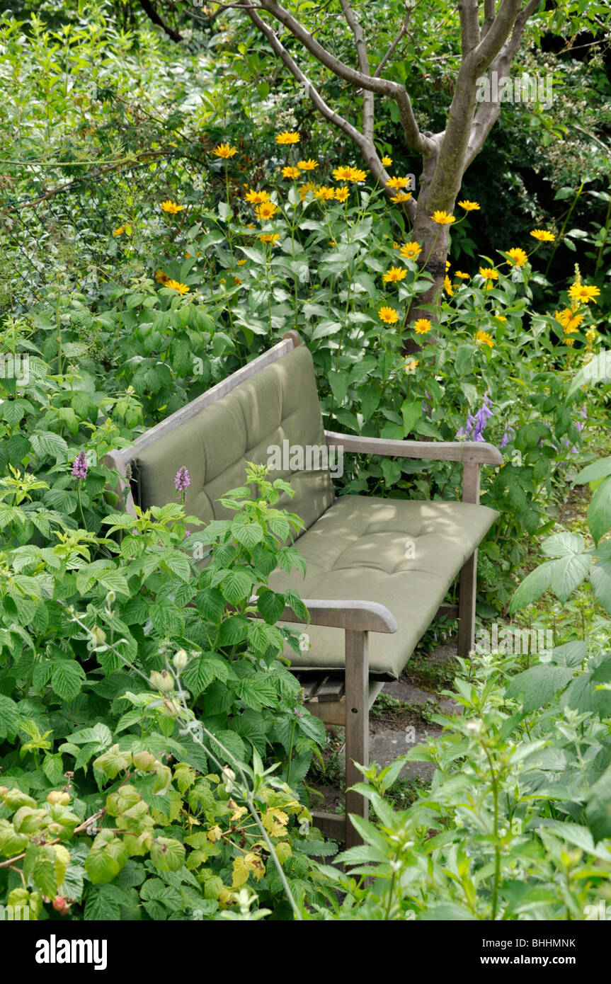 Panca in legno in un giardino naturale. design: Susanna komischke Foto Stock