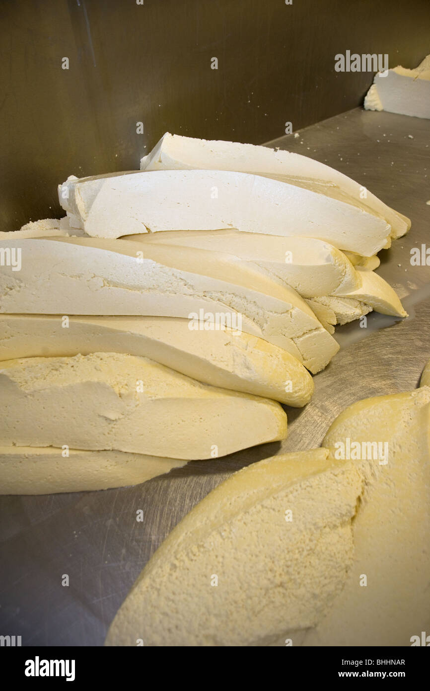Il taglio della cagliata per la produzione di formaggio Foto Stock
