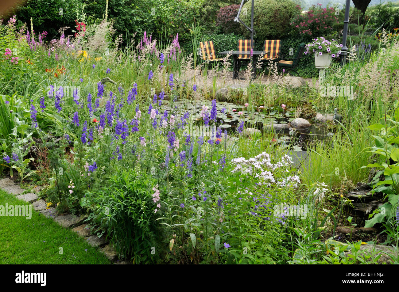 Rocket larkspur (consolida ajacis) a un laghetto in giardino. design: marianne e detlef lüdke Foto Stock