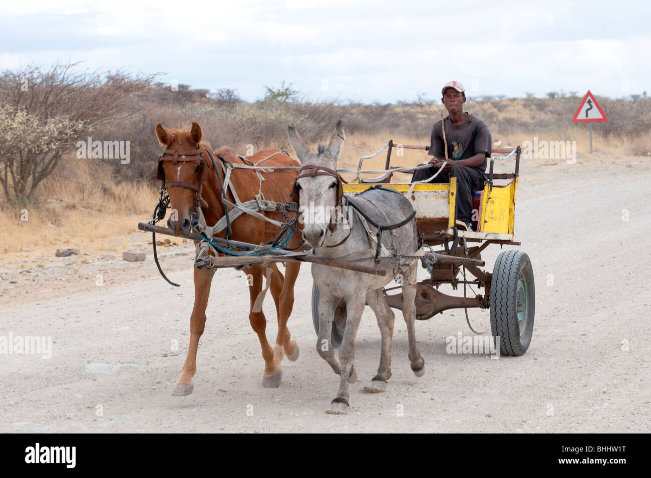 Un uomo su un cavallo carrello in Rehoboth Namibia Foto Stock