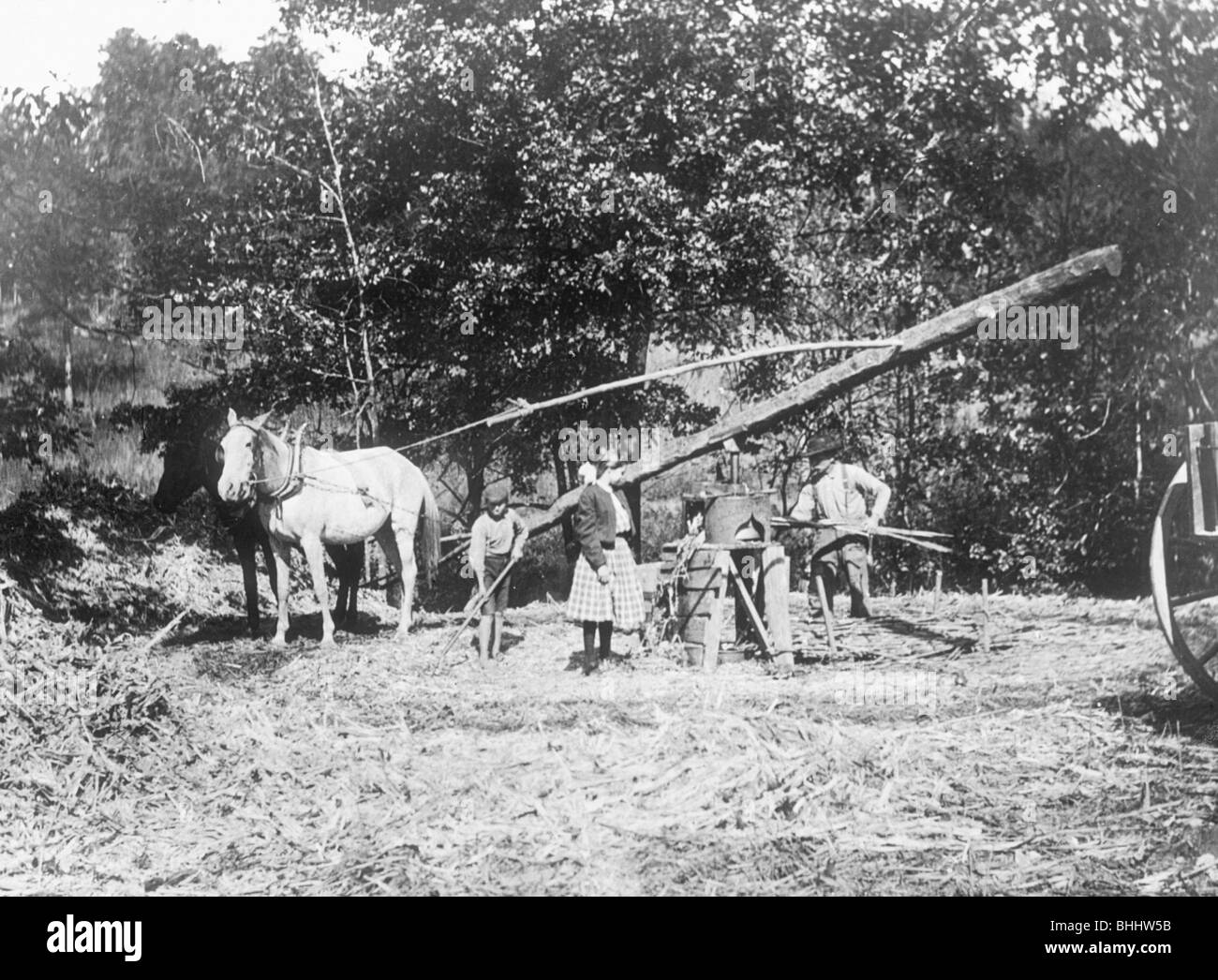 Impianto di sorgo, Appalachia, STATI UNITI D'AMERICA, c1917. Artista: Cecil Sharp Foto Stock