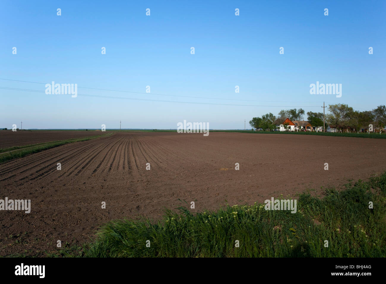 Voivodina, Serbia, settore agricolo a inizio primavera Foto Stock