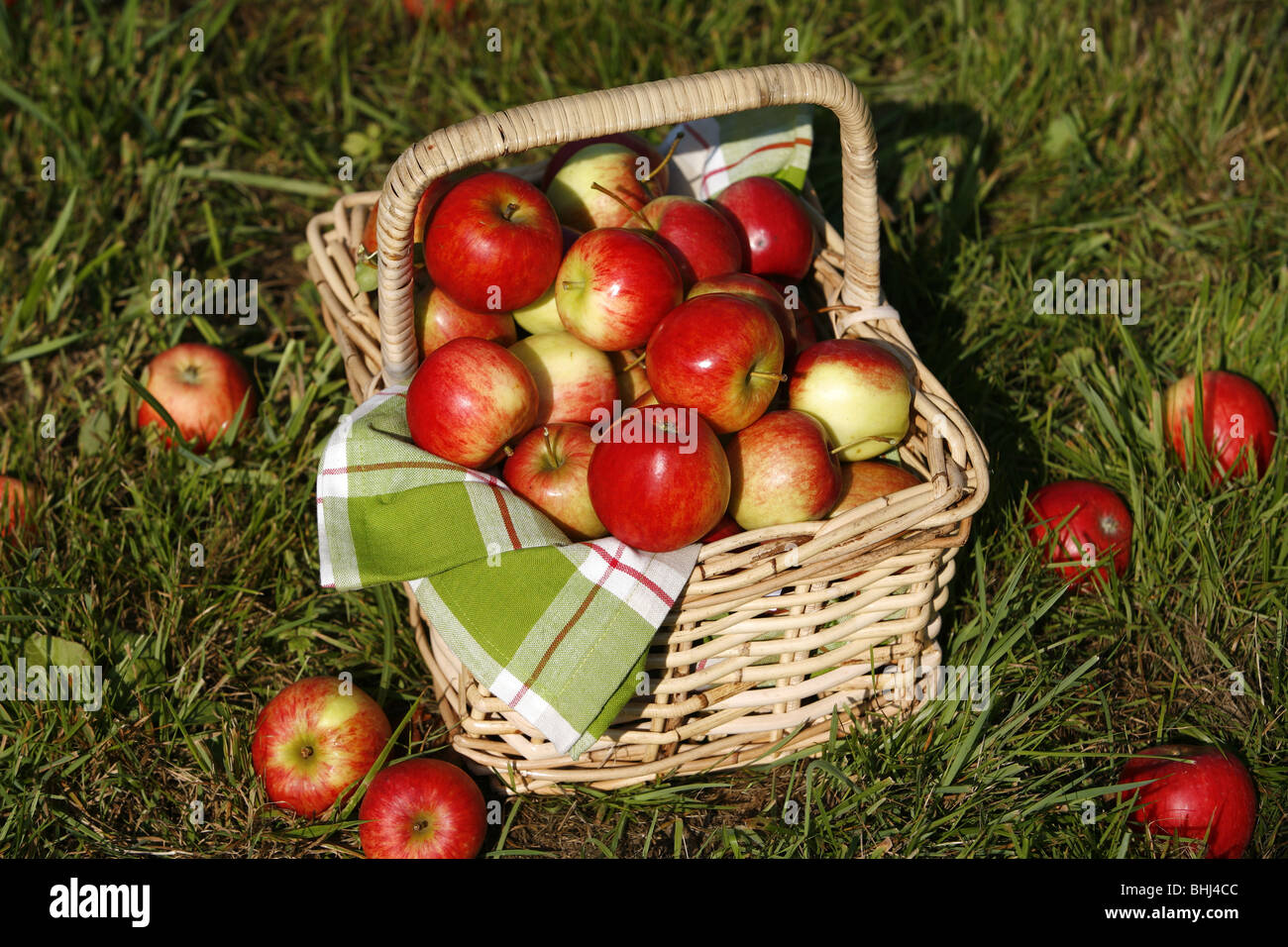 Le mele in un cesto Foto Stock