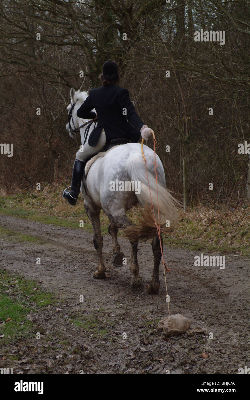 Una persona su un cavallo Foto Stock