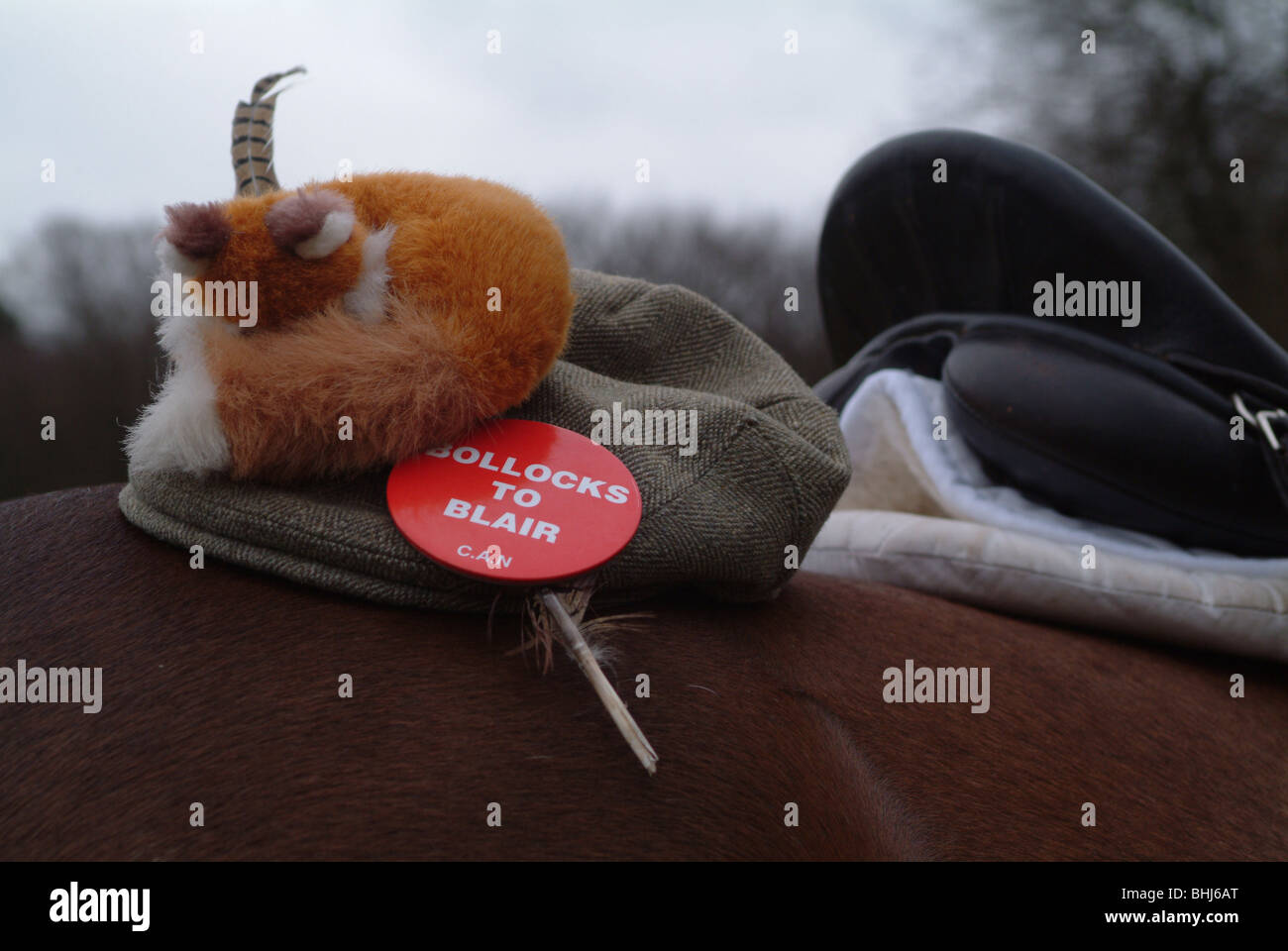 Un badge su un cappuccio che protestavano contro la fox divieto di caccia Foto Stock