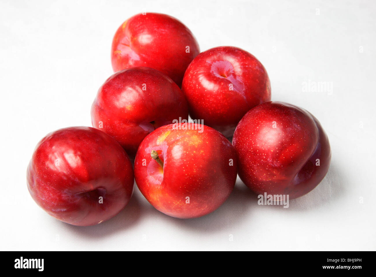 Sei Prugne rosso su sfondo bianco Foto Stock