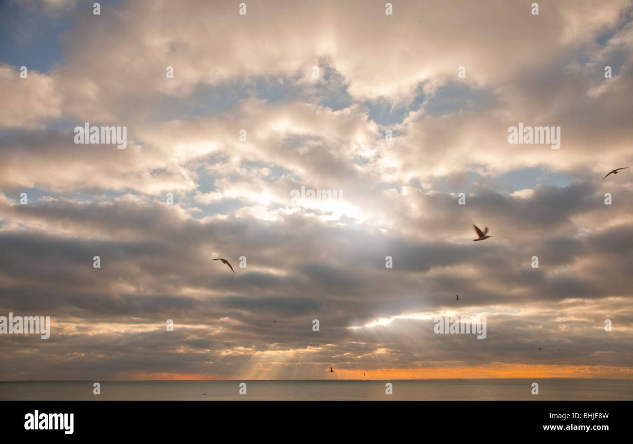 Cielo tempestoso mare scape con raggi solari streaming attraverso le nuvole, gabbiani, tramonto Foto Stock