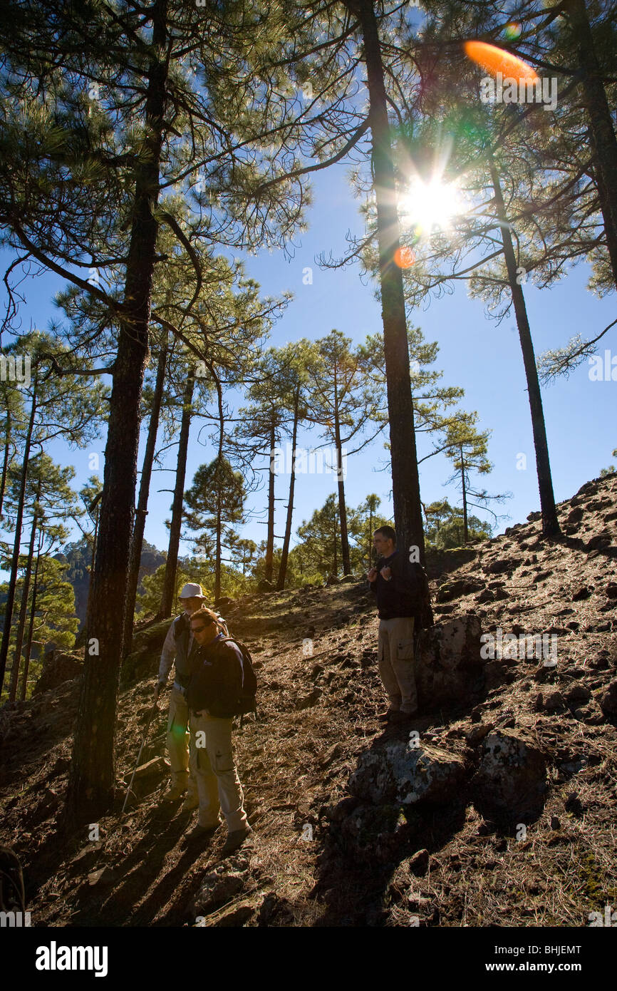 Il Inagua riserva forestale in Cumbres o altipiani di Gran Canaria. Un telecomando e area isolata che è altamente inaccessibile. Foto Stock