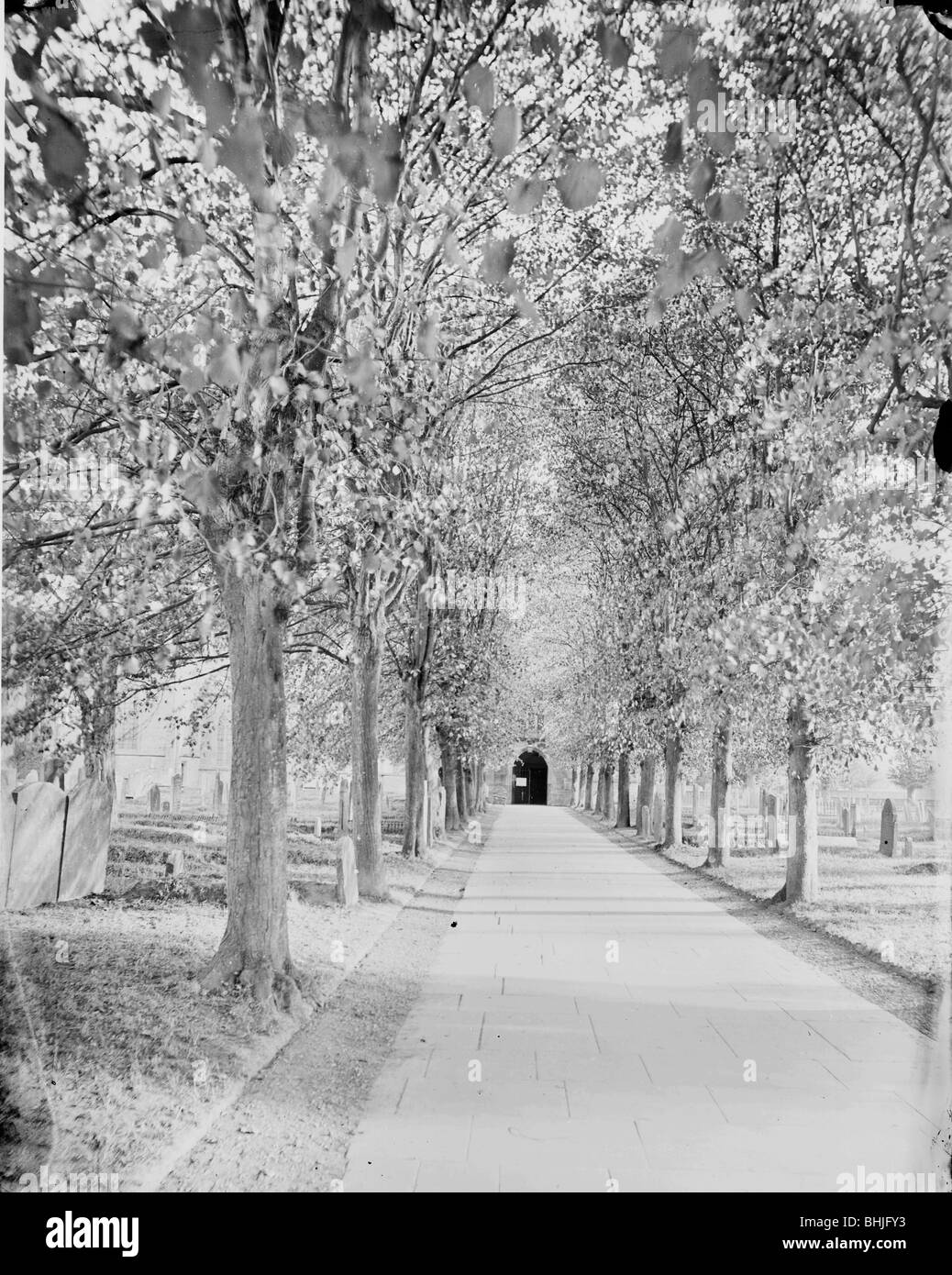 Un viale di tigli che conduce alla chiesa della Santa Trinità, Stratford-upon-Avon, C1860-c1922. Artista: Henry Taunt Foto Stock