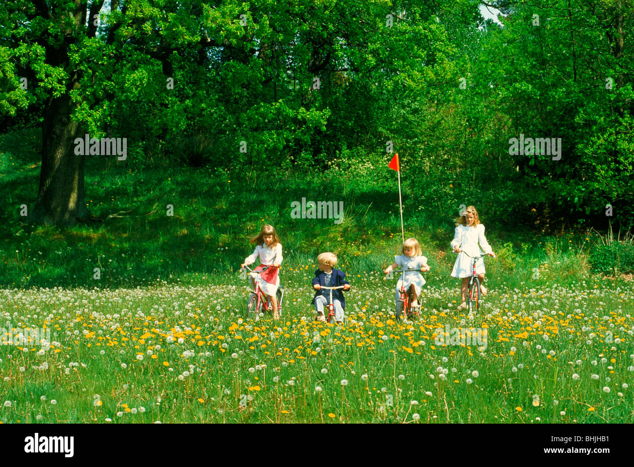 I bambini in bicicletta attraverso il campo selvatiche di fiori d'estate nella campagna della Svezia Foto Stock