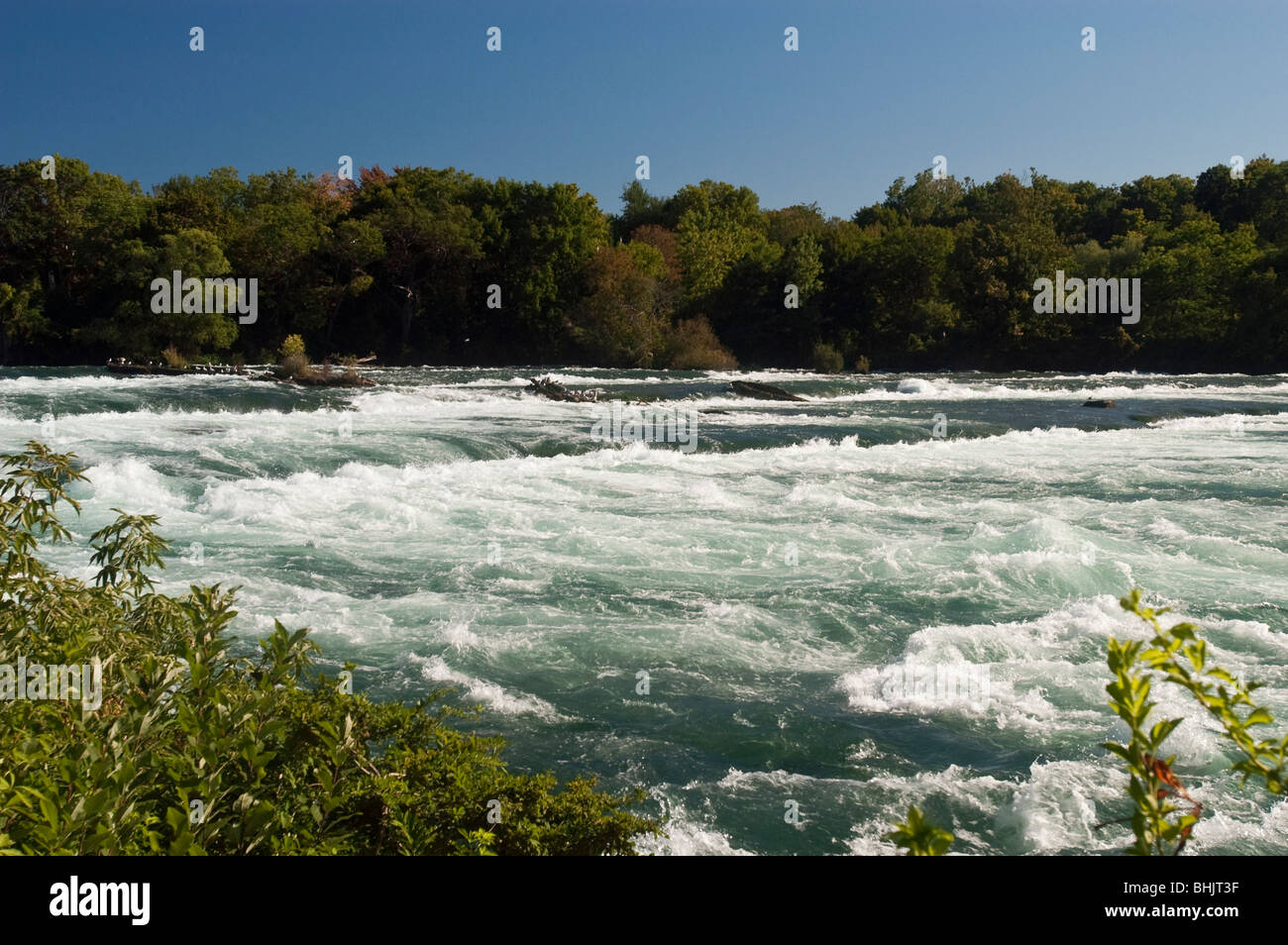 Fiume Niagara acqua bianca appena prima di Niagara Falls, NY, STATI UNITI D'AMERICA Foto Stock