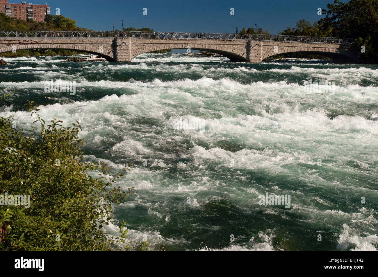 Fiume Niagara acqua bianca appena prima di Niagara Falls, NY, STATI UNITI D'AMERICA Foto Stock