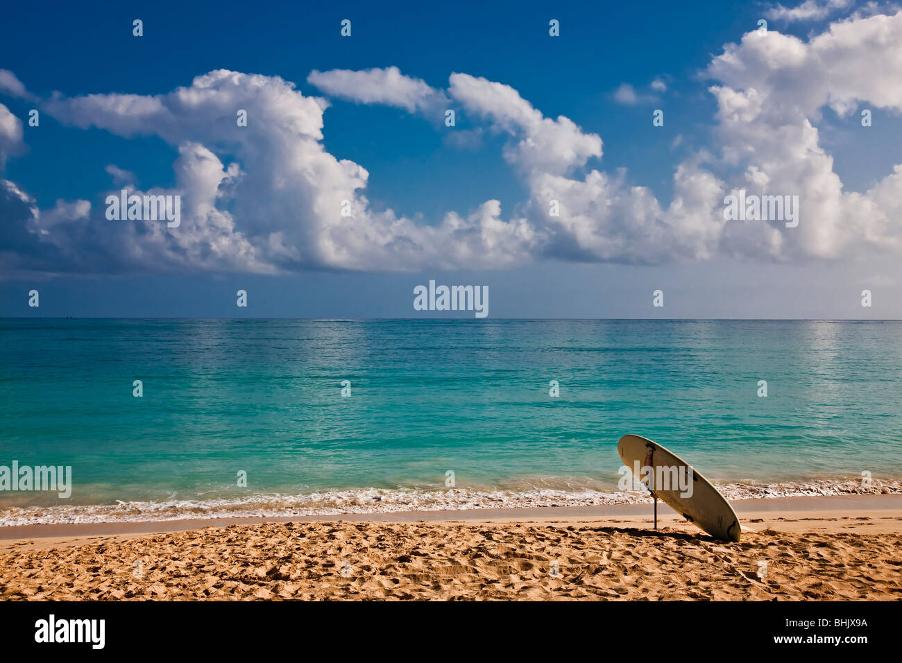 Hawaiian spiaggia Foto Stock