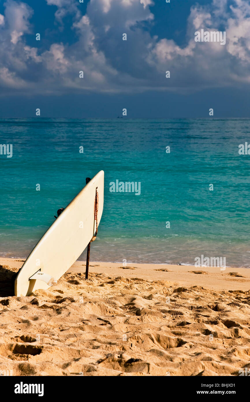 Hawaiian spiaggia Foto Stock