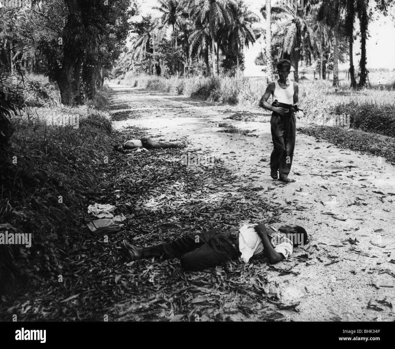 Geografia / viaggio, Congo, eventi, Simba rivolta 1964 - 1965, presa di Stanleyville da forze governative, ribelli morti sulla strada per l'aeroporto, 4.12.1964, Foto Stock