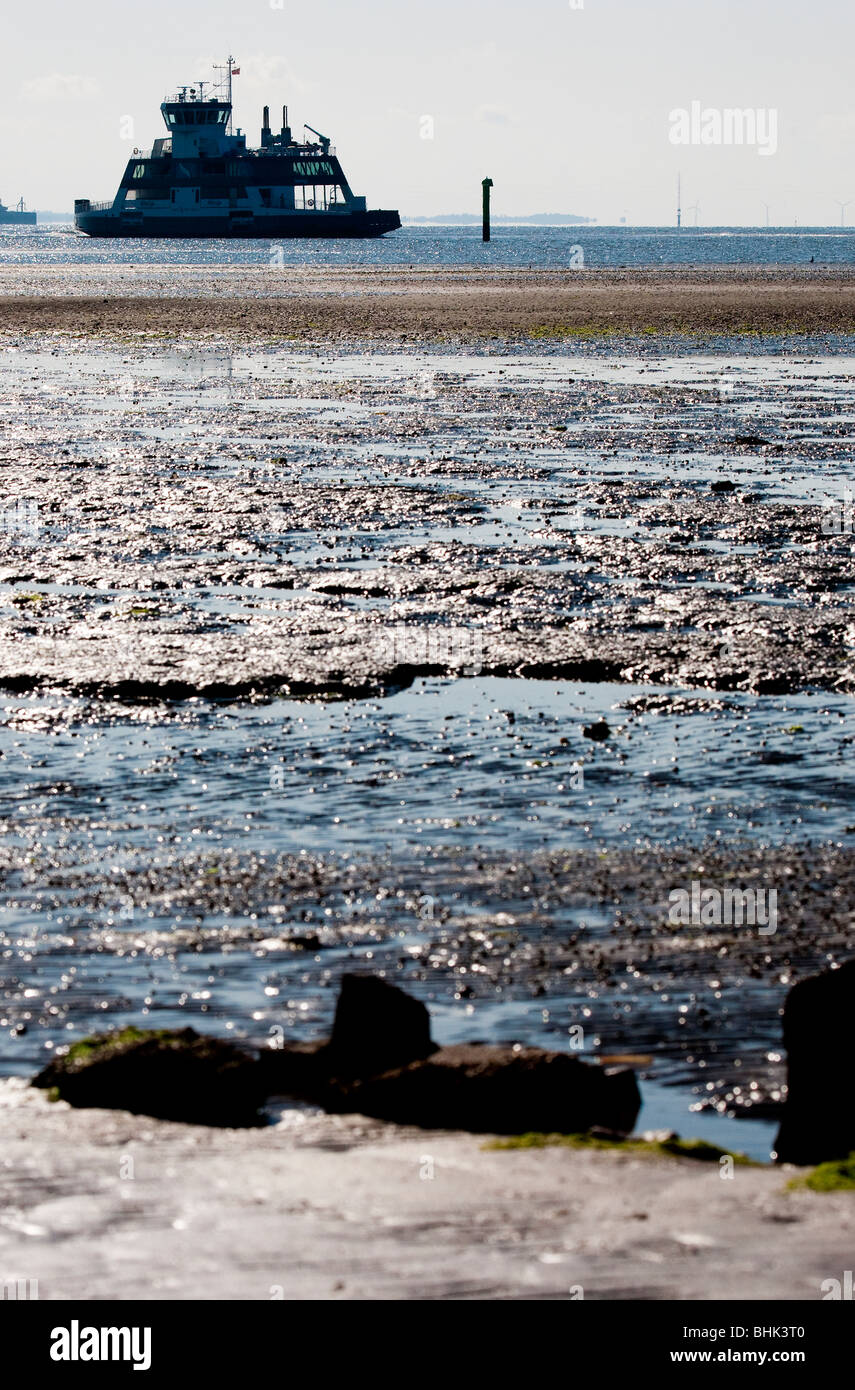 Un traghetto al di fuori della terra di palude di Fanø. Foto Stock