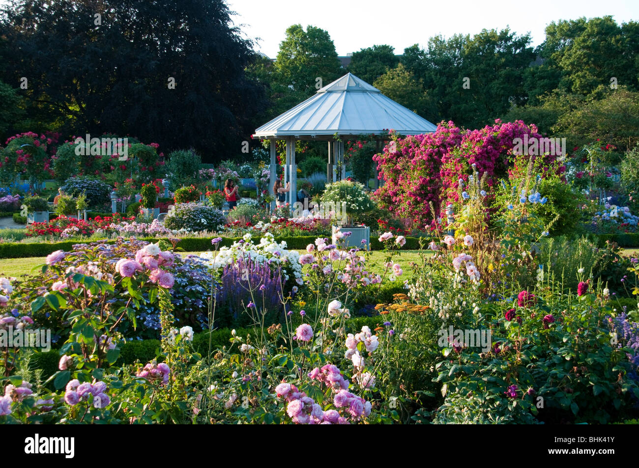 Rosengarten mit Pavillon, parco Planten un Blomen, Amburgo, Deutschland