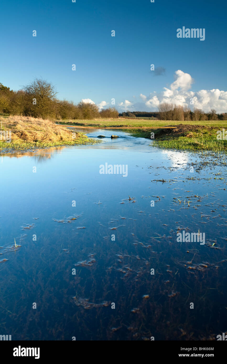 Il fiume Tamigi a valle della sorgente a Kemble, Gloucestershire, Regno Unito Foto Stock