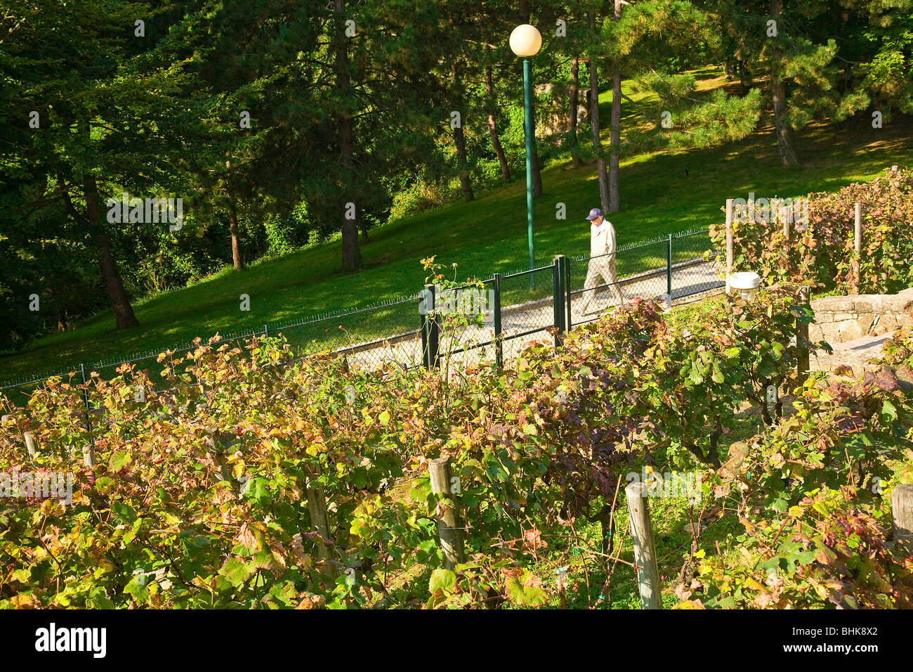 GEORGES BRASSENS Park, Parigi Foto Stock