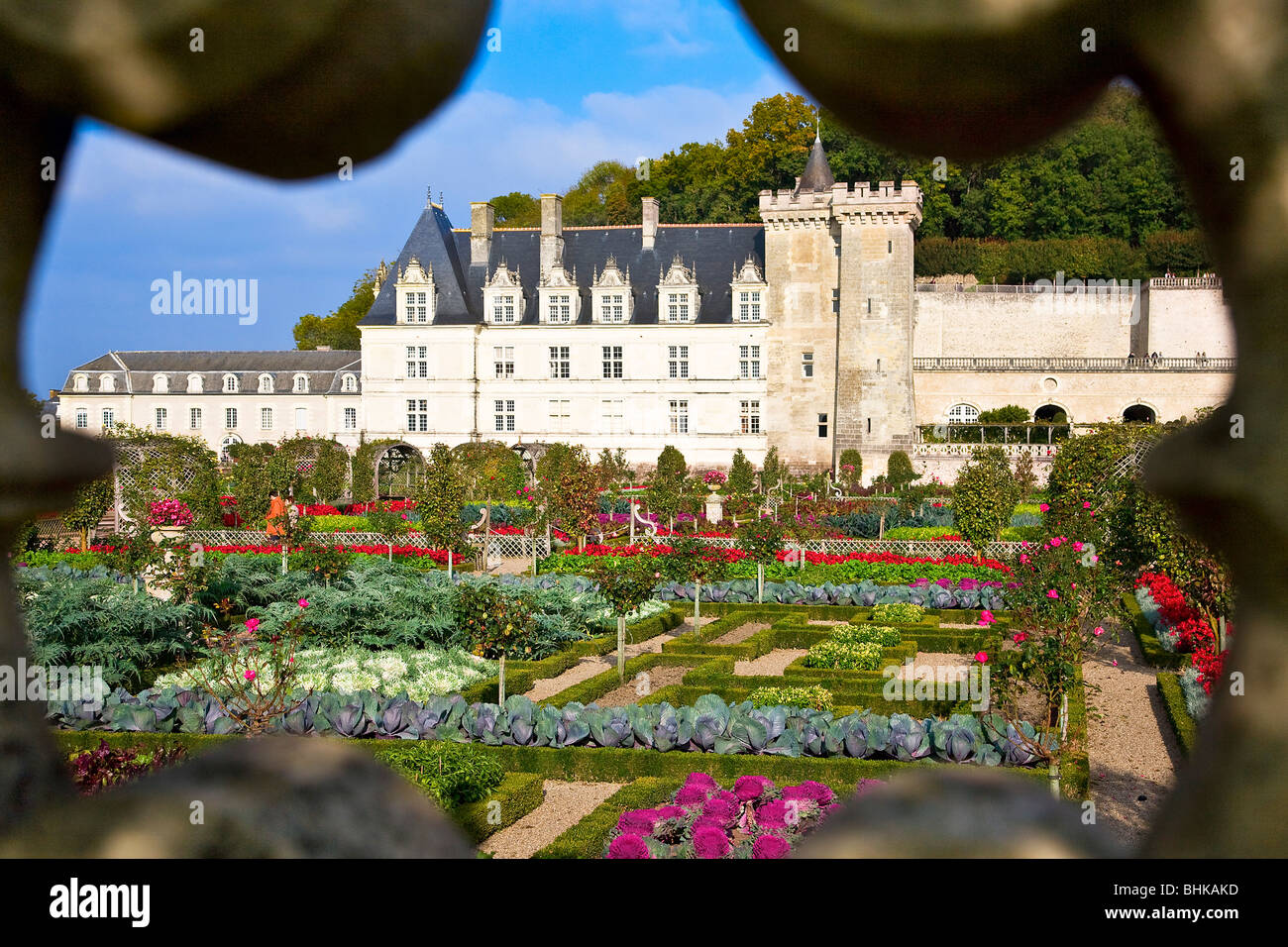 Castello di Villandry, Francia Foto Stock