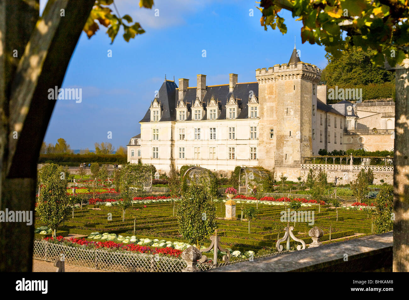 Castello di Villandry, Francia Foto Stock