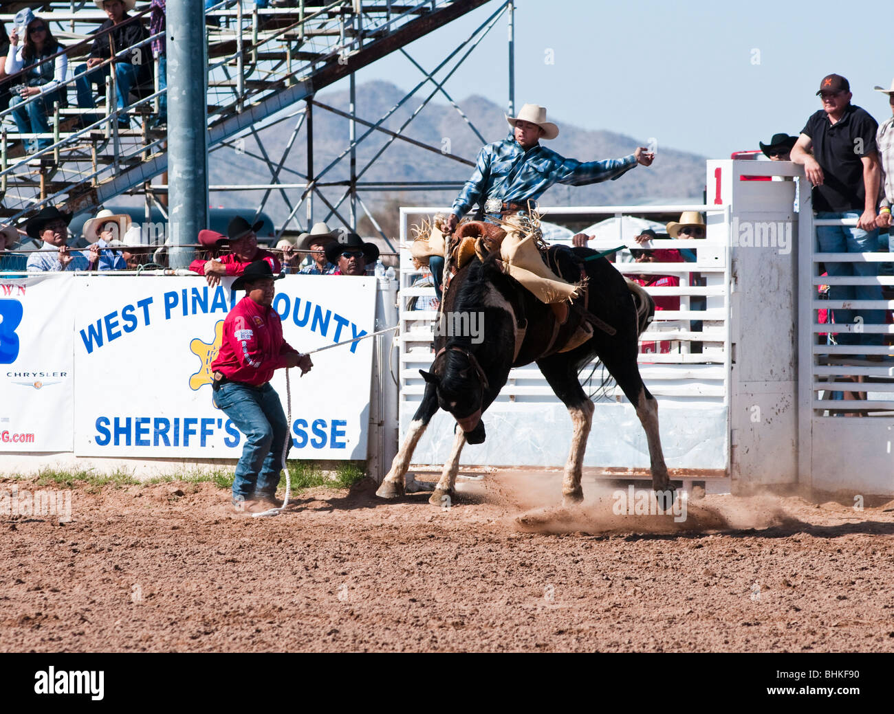 Un cowboy compete in bareback riding evento durante l'O'Odham Tash tutti-indian rodeo Foto Stock