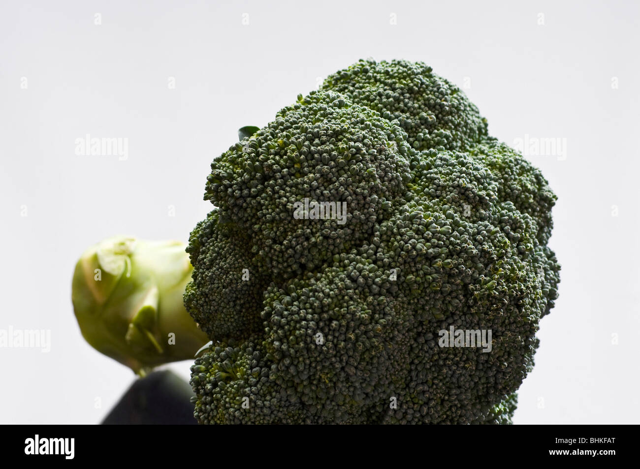 Broccoli organico Foto Stock