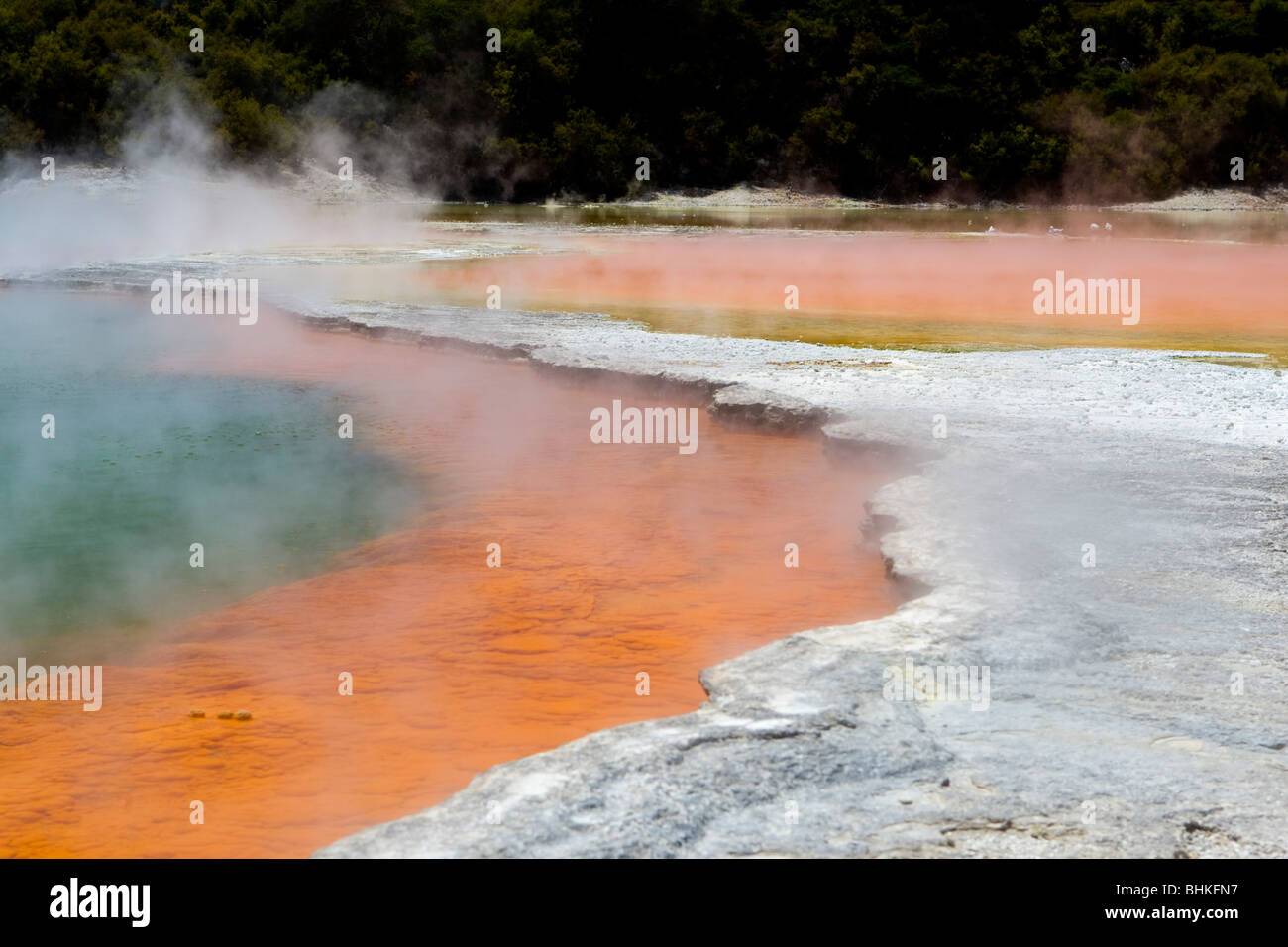 Wai-O-Tapu parco termale, a Rotorua, Nuova Zelanda, Sabato, Gennaio 09, 2010. Foto Stock