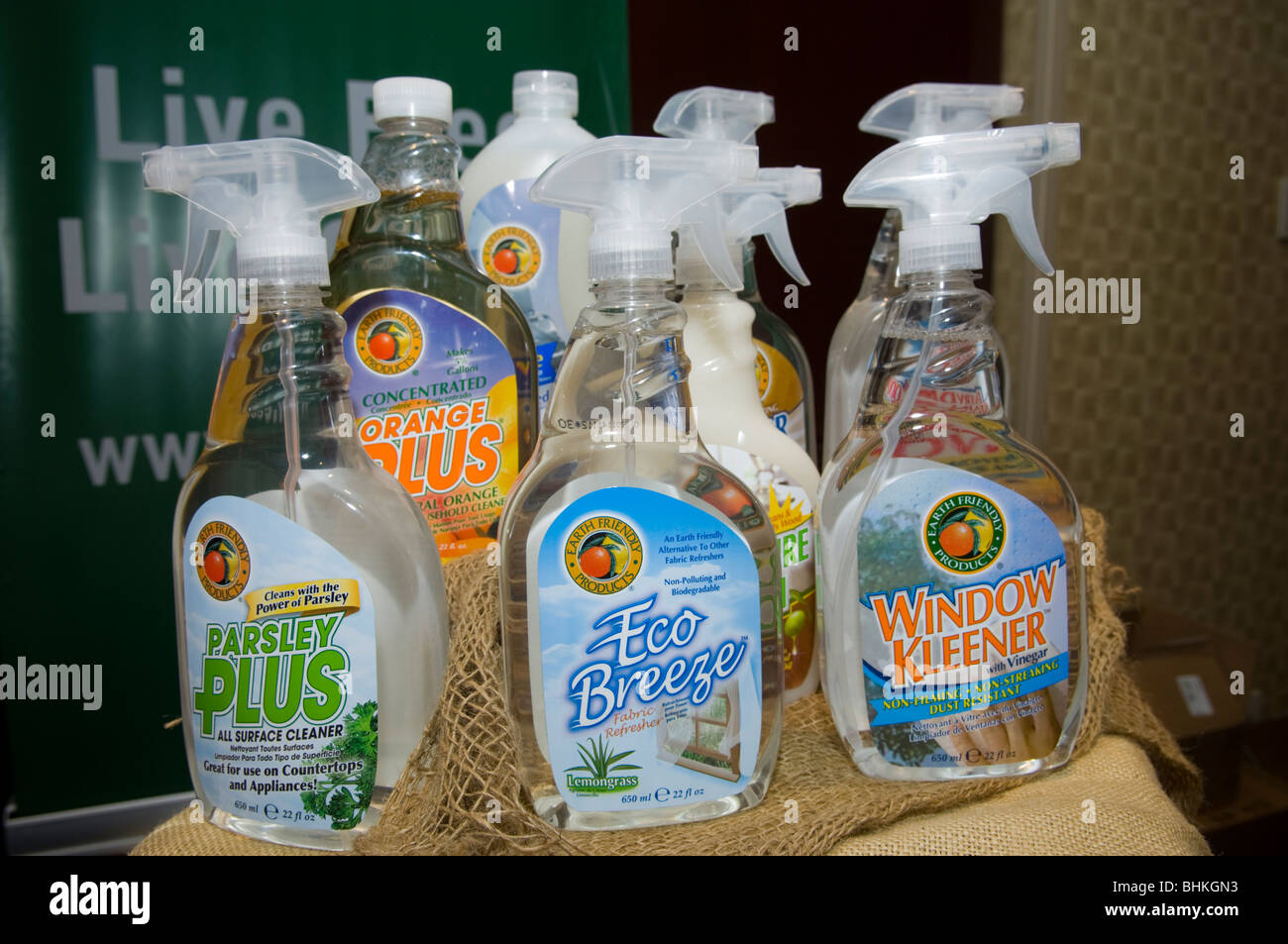 Un display di Earth Friendly di prodotti per la pulizia al 2010 i prodotti Green Expo che si terrà a Midtown a New York Foto Stock